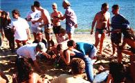 29B04ios94