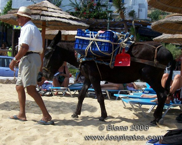 03_281Ele06ios